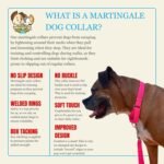 Country Brook Petz - Martingale Dog Collar - Heavy-Duty Training Collar with No Buckle - Service Dog Collar for All Pups - 20 Vibrant Colors (Hot Pink, 1 Inch, Medium) - Image 8