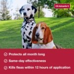 K9 Advantix II XL Dog Vet-Recommended Flea, Tick & Mosquito Treatment & Prevention | Dogs Over 55 lbs. | 6-Mo Supply - Image 5