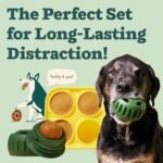 WOOF Pupsicle and Treat Tray - Long-Lasting Interactive Dog Ball Toy and Silicone Dog Treat Mold - Keep Your Pup Busy - Easy to Clean - Dog Toys for Small Dogs 10-25 lbs - Image 3