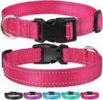 Reflective Dog Collar with Buckle Adjustable Safety Nylon Collars for Small Medium Large Dogs, Pink S - Image 7