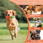 BoYoYo Tough Dog Toys for Aggressive Chewers with Squeaky, Indestructible Dog Chew Toys for Medium and Large Breeds to Keep Them Busy, Interactive Durable Dog Toy - Image 7
