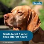 Seresto Flea & Tick Collar For Dogs Over 18 lbs., Treatment & Prevention, Vet-Recommend, 8 Month Protection - Image 6
