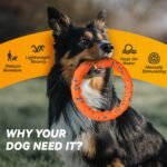 FUSOTO Dog Ring Toy, Indestructible Flying Discs for Throwing Catching, Water Floating Dog Training Ring for Medium Large Breeds (Orange - φ9 inches) - Image 10