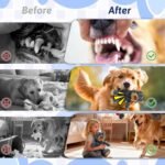 MAXBECK Dog Companion for Heavy Chewers- Indestructible Robust Bear Dog Toy, Resistant Squeaky Dog Toys for Heavy Chewers, Unbreakable Stuffed Plush Dog Toys for Aggressive Chewers (A-Navy) - Image 5