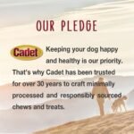 Cadet Stuffed Shin Bone, Long-Lasting Dog Chew Bones for Aggressive Chewers, High Protein Filled Bone Dental Chew for Dogs, Peanut Butter Flavor Filling, 3-4" for Small Dogs, 3 Pack - Image 12