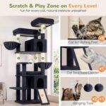 Globlazer Tall Cat Tree for Indoor Large Cats, 75 inch, F75C, Dark Grey | Multi-Level Cat Tower, 2 Large Platforms, 2 Oversized Cat Condos, 5 Scratching Posts, Scratching Board, Removable Pet Bed - Image 7