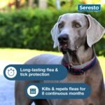 Seresto Flea & Tick Collar For Dogs Over 18 lbs., Treatment & Prevention, Vet-Recommend, 8 Month Protection - Image 7