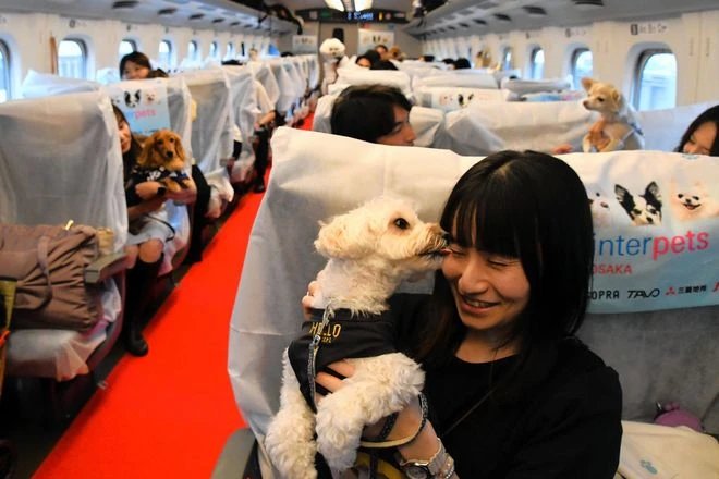 Planes, trains, hotels catering more to travelers and their pets
