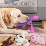 Prime Pets Dog Toys, 5 Pack, Plush Dog Squeaky Toys, Assortment Value Bundle Animal Pet Toy for Small Medium Large Dogs, Stuffed Puppy Chew Toy - Image 3