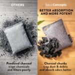 Charcoal Odor Absorber for Strong Odor (6 Pack, 100g each), Bamboo Charcoal Air Purifying Bag, Basement Musty Odor Eliminator Deodorizer, Activated Charcoal Odor Absorber for Closet, Shoe, Car - Image 6