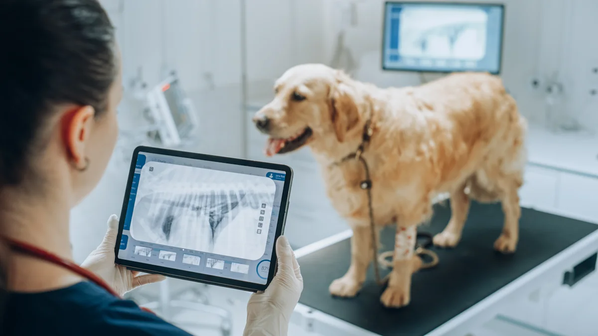 What AI is really doing at your pet's next vet visit, according to the AVMA's president