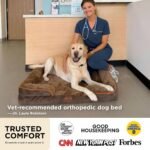 Bedsure Orthopedic Dog Beds Large Sized Dog with Removable Washable Cover | 35" Classic Big Dog Couch Sofa Waterproof, Comfy Bolster Sides, Nonslip Bottom, Cozy Pet Bed for Cats, Senior Dogs, Brown - Image 3