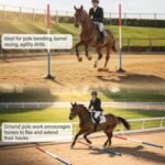 Neoaider 6 FT Pole Bending Poles for Horses, 10 Pack Agility Poles | 3-Color High Visibility, Heavy-duty Rubber Bases, Waterproof Carry Bag, Ideal for Equestrian, Soccer, Football, Pet Training - Image 5