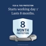 PetArmor Extend Flea & Tick Treatment & Prevention Collar for Cats, 8 Months of Protection, 2 Count - Image 3