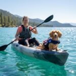 Doglay Dog Life Jacket for Swimming and Boating, Adjustable Puppy Life Vest with Reflective Stripes, Superior Buoyancy Pet Swimming Vest for Small Medium and Large Dogs - Image 6