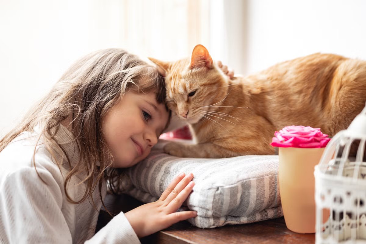 Cats are the only pet linked to more mental health problems in children, study finds