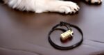 Brass and Steel Pet Training Clicker Puppy Dog Training Cricket Clicker U.S. Engraved WII Military Gear Metal Clicker - Image 8