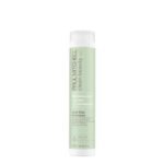 Paul Mitchell Clean Beauty Anti-Frizz Shampoo, Smoothes Hair, Calms Frizz, For Textured, Frizz-Prone Hair - Image 2