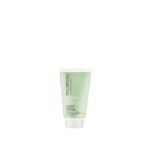 Paul Mitchell Clean Beauty Anti-Frizz Leave-In Treatment, Leave-In Conditioner, Anti-Humidity, For Textured, Frizz-Prone Hair, 5.1 fl oz | Anti-Humidity - Image 2