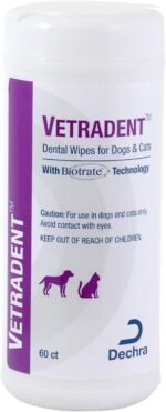 Dental Wipes, 60 ct | Biotrate™ Technology; Xylitol-Free, Alcohol-Free; Packaging May Vary - Image 2