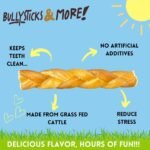 BULLYSTICKS & MORE 6 Inch Beef Collagen Braids for Dogs (8 Count) - Bones for Dogs - Dog Parents Choice - No Hide Beef Cheek Rolls - Image 4