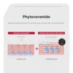 Illiyoon Ceramide Ato Concentrate Cream | Moisturizer for Dry & Sensitive Skin, 100hr Lasting Hydration, For Face & Body, Gentle for Infants, Moisture Barrier Repair, Vegan Certified, 6.76 fl.oz. - Image 7