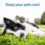 The Green Pet Shop Cool Pet Pad - Large, Sage Grey - Self-Cooling, Pressure Activated Mat for Dogs & Cats from 46-80 lbs - Non-Toxic Gel, No Water Needed - Image 4