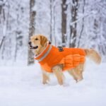 Lelepet Dog Coat Warm Dog Winter Coat Waterproof Dogs Jacket with Harness | Reflective Pet Fleece Vest Zip-Up Cold Weather Coats for Medium Dogs Turtleneck & Windproof Coats Dachshund Blaze Orange M - Image 7