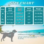 EMUST Dog Life Vest, Bright Color Dog Water Vest with Superior Buoyancy | High Visibility Pet Life Jacket DFD for Small Medium Large Dogs, Adjustable High Flotation Dog Float Coat, Blue, XL - Image 6