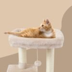Cute Cat Tree Kitten Cat Tower Condo Cat Furniture Sisal Scratching Posts B | FISH&NAP For Indoor Jump Platform Activity Center Play House Beige - Image 4