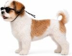 G014-P Dog Pet Costume Retro Panto Sunglasses Small Breed up to 15 lbs (S, up to 15 lbs, Panto Black) - Image 4