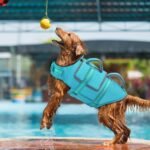 EMUST Dog Life Vest, Bright Color Dog Water Vest with Superior Buoyancy | High Visibility Pet Life Jacket DFD for Small Medium Large Dogs, Adjustable High Flotation Dog Float Coat, Blue, XL - Image 8