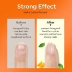 Modelones Nail Strengthener Cuticle Oil for Nails Orange Growth Repair Care | Nail Oil for Growth and Strength Nail Growth Oil Cuticle Care Quick Dry Nail Care Moisturize Strengthen Damaged Nail 0.5Fl Oz - Image 3
