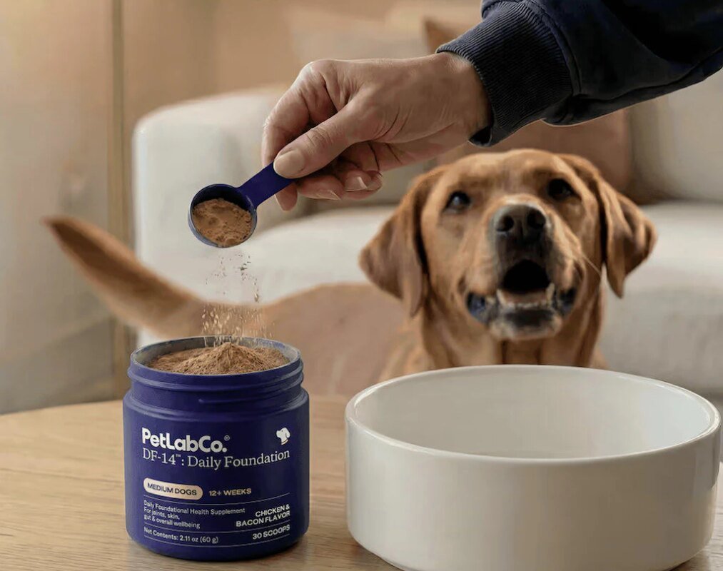 Multifunctional Pet Health Powders: PetLabCo. DF-14 is Formulated to Support 14 Key Areas…