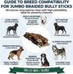 12" Jumbo Braided Bully Sticks for Large Dogs - Ultra Thick 3-Strand Twist (70g Average) - 100% Natural Grass-Fed Beef, Odor-Free - Long Lasting Dental Chews for Aggressive Chewers - Image 8