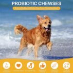 Probiotics for Dogs & Cats with 5 Billion CFUs - Gut Health, Firm Stool, Gas Relief, Immune Support, 120 Chews, Chicken Flavor - Image 7