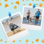 Weewooday 4 Pieces Small Pet Summer T-Shirts Hawaii Style Floral Pet Dog Shirt Breathable Cool Clothes Beach Seaside Puppy Sweatshirt for Puppy(Floral Style,Small) - Image 7