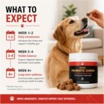 Dog Probiotics Chews - Gut Health - Salmon - 60 Chews - Image 6