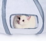 Sheldamy Cat Tunnel, S-2-Way Cat Tunnels for Indoor Cats, Collapsible Cat Play Tunnel, Interactive Toy Maze Cat House with 1 Play Ball for Cats, Puppy, Kitty, Kitten, Rabbit (White & Gray) - Image 7