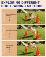 Dog Agility Course Backyard Set, Dog Agility Hurdle Cone Set | Height Adjustable Crossbar for Rehabilitation & Beginners, Dog Agility Equipment for Dog Obstacle Course - 12 Inch Orange - Image 4