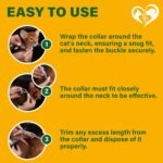 Natural Flea & Tick Collar for Cats - 6 Months Control of Best Prevention & Safe Treatment - Anti Fleas and Ticks Essential Oil Repellent (1 Pack) - Image 8