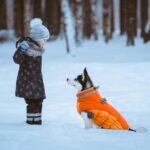 Lelepet Dog Coat Warm Dog Winter Coat Waterproof Dogs Jacket with Harness | Reflective Pet Fleece Vest Zip-Up Cold Weather Coats for Medium Dogs Turtleneck & Windproof Coats Dachshund Blaze Orange M - Image 6
