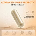 Probiotics for Dogs & Cats, Digestive Health Capsules,90 Ct | Supports Daily Gut Balance, Healthy Stool & Digestive Comfort with Prebiotics for a Balanced Microbiome During Food Changes - Image 4