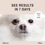 Eye Envy Tear Stain Remover Powder for Dogs and Cats. Natural, Safe Formula. Apply Around Eyes. Absorbs and Cleans Tears and Staining. Keeps Area Dry. Made in The USA. (.5 oz) - Image 5