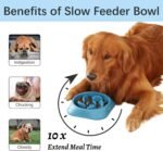 MateeyLife 2-Pack Slow Feeder Dog Bowls, 2 Cups, Dog Puzzle Feeder Bowl | Food-contact safe, dishwasher safe, non-slip base, maze design, for fast eaters, for dogs and cats, daily mealtimes - Image 3