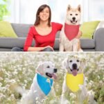 30 Pcs Dog Bandanas Bulk Sublimation Plain Bandanas Bulk for Christmas Birthday Doggy Heat Transfer Triangle Scarf Washable Adjustable for Small Medium Large Pets Dogs(L) - Image 8