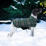 Kuoser Waterproof Dog Coat, Reversible Dog Jacket for Large Dogs, Green L | Adjustable Durable Doggie Winter Coat for Groowing Puppies Warm Puppy Cold Weather Apparel - Image 7