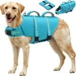 EMUST Dog Life Vest, Bright Color Dog Water Vest with Superior Buoyancy | High Visibility Pet Life Jacket DFD for Small Medium Large Dogs, Adjustable High Flotation Dog Float Coat, Blue, XL - Image 2