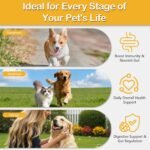 Probiotics for Dogs & Cats with 5 Billion CFUs - Gut Health, Firm Stool, Gas Relief, Immune Support, 120 Chews, Chicken Flavor - Image 6