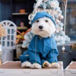 Dog Raincoat, Waterproof Dog Rain Jacket with Hood, Rain Coat with Leash Hole, Reflective Strap for Small Medium Dogs, Outdoor Adventures/Walking Lightweight Puppy (Blue,M) - Image 6